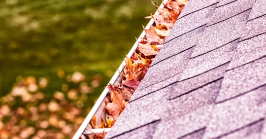 Falling Leaves on gutter