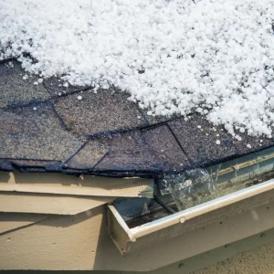 snow on shingle roof