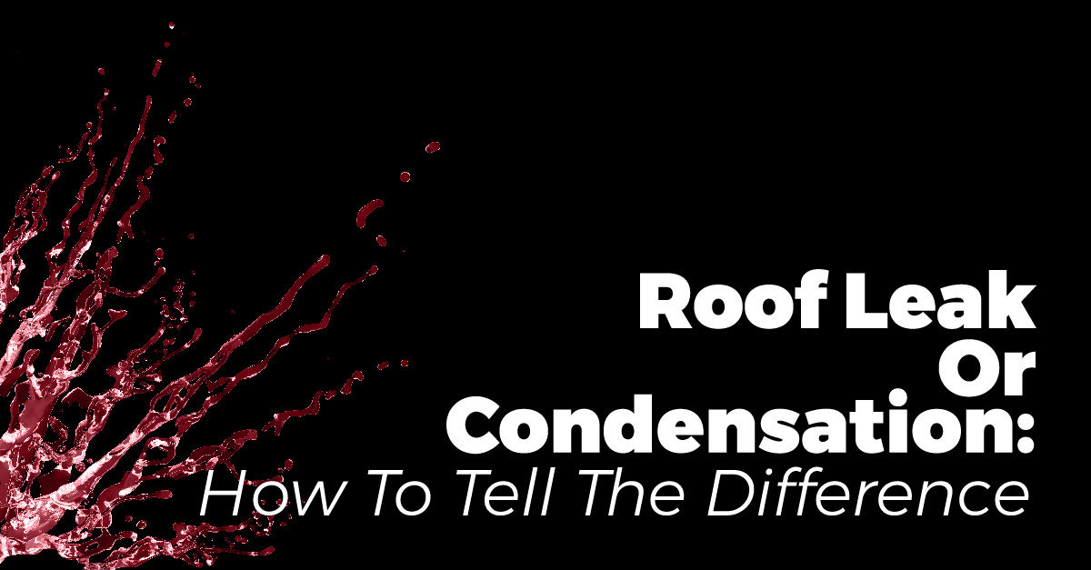 Roof Leak Or Condensation: How To Tell The Difference