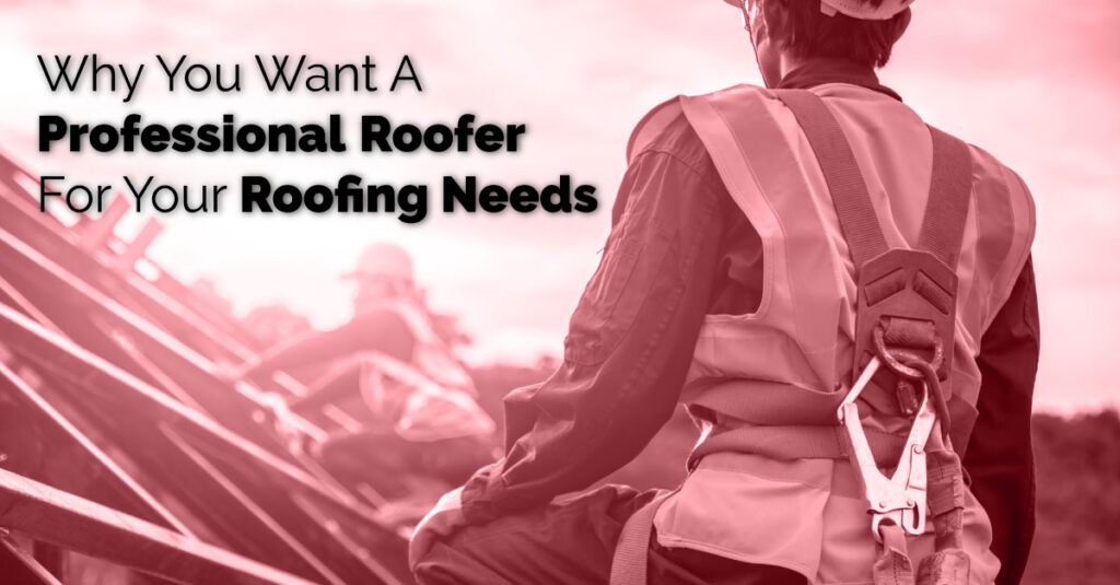 Why You Want A Professional Roofer For Your Roofing Needs