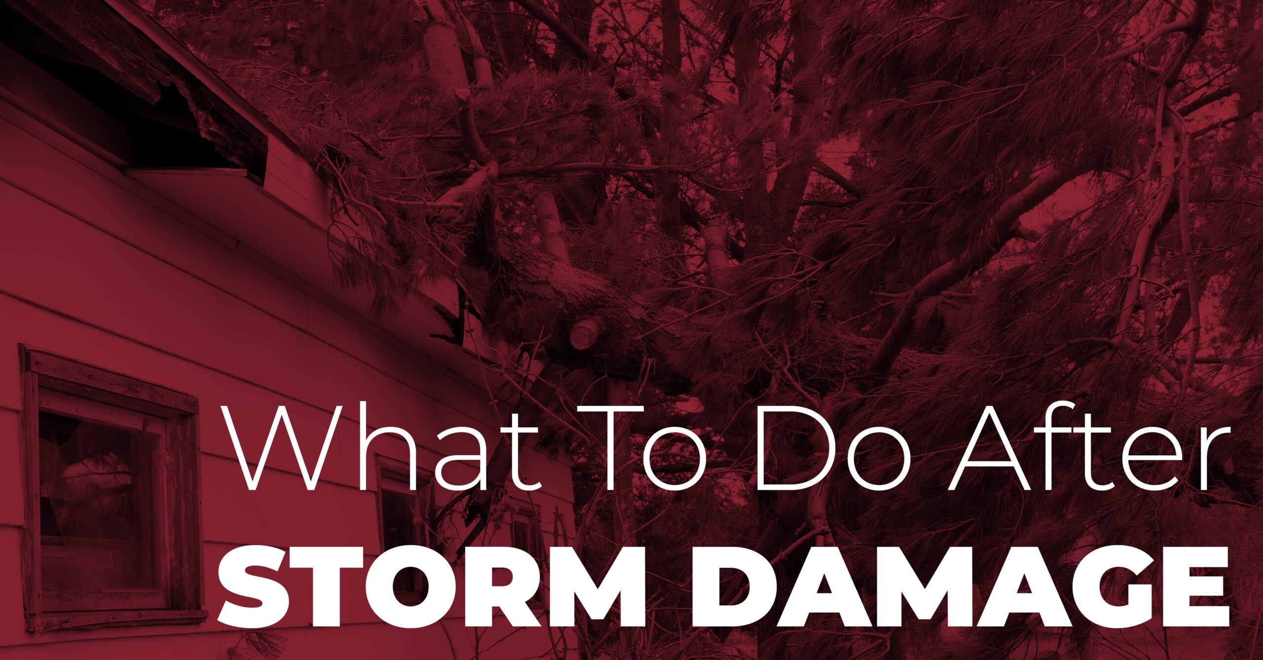 What To Do After Storm Damage