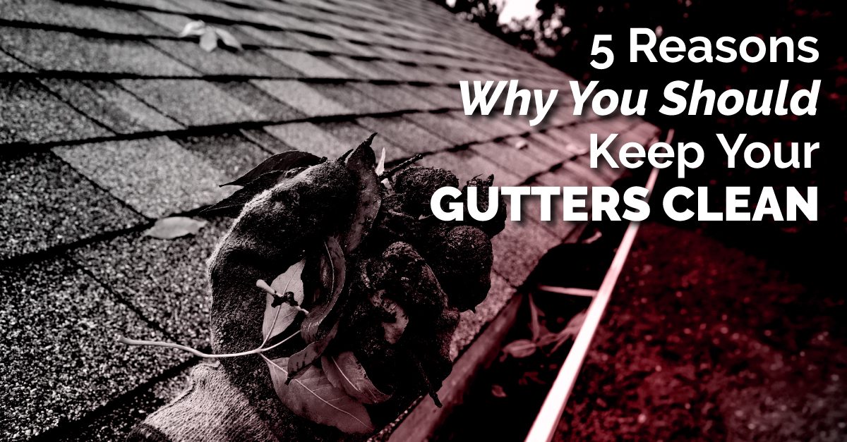 5 Reasons Why You Should Keep Your Gutters Clean